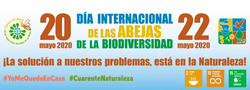 20 de mayo el Día Mundial de las Abejas, y el 22 el Día Mundial de la Biodiversidad